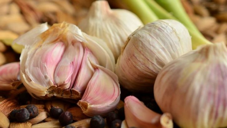 10 Common Foods With Hidden Risks + 10 With Healing Powers