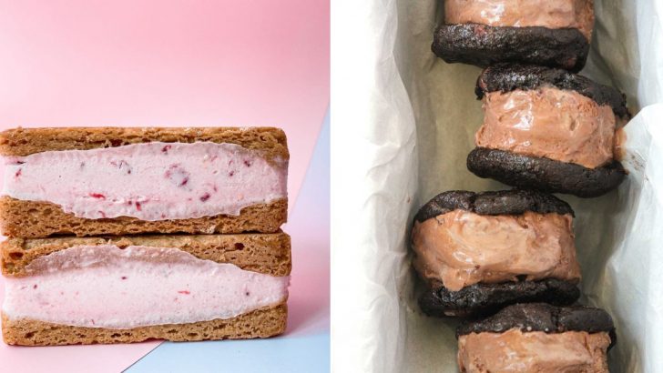 10 Costco Ice Cream Sandwich Flavors Ranked From Meh To Must-Try