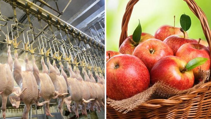 12 Common Grocery Foods With Banned Additives And 4 Without Them