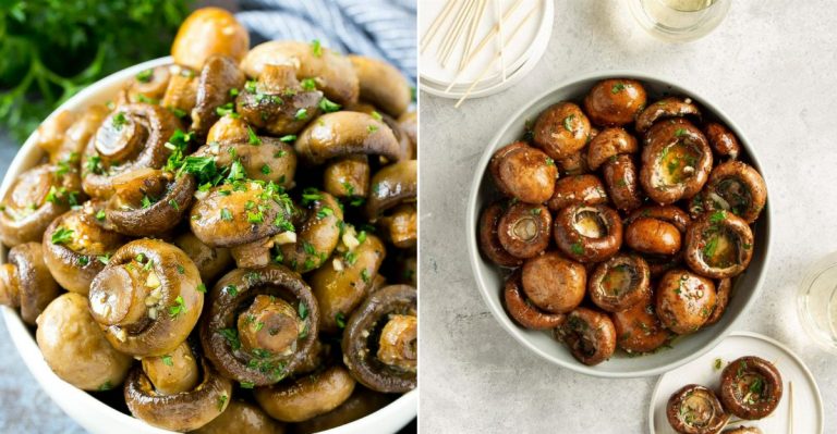 best canned mushroom brands you can buy