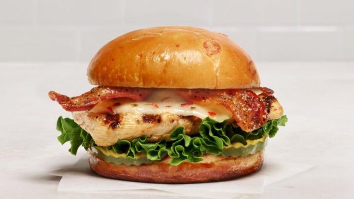 15 Brand-New Fast Food Sandwiches Worth Every Bite In 2025