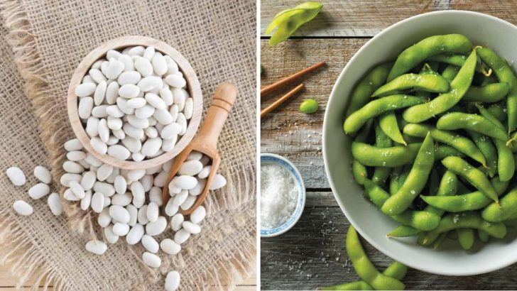 15 Calcium-Rich Foods For Strong Bones