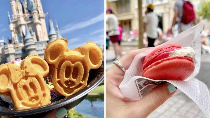 15 Gluten-Free Foods That You Need To Try At Disney World