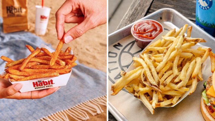 15 Go-To Chains For Freshly Cut Fries (Plus 3 Quiet Legends Serving Golden Perfection)