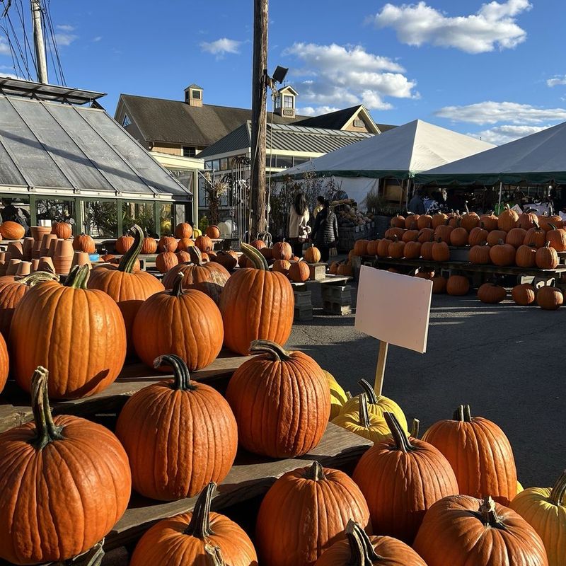 Zayde’s Market – Natick, MA