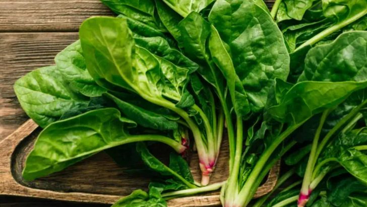 15 Top Foods That Support Eye Health