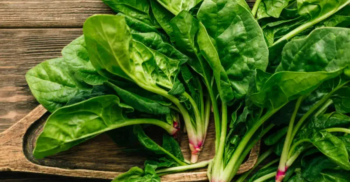 best foods for healthy eyes
