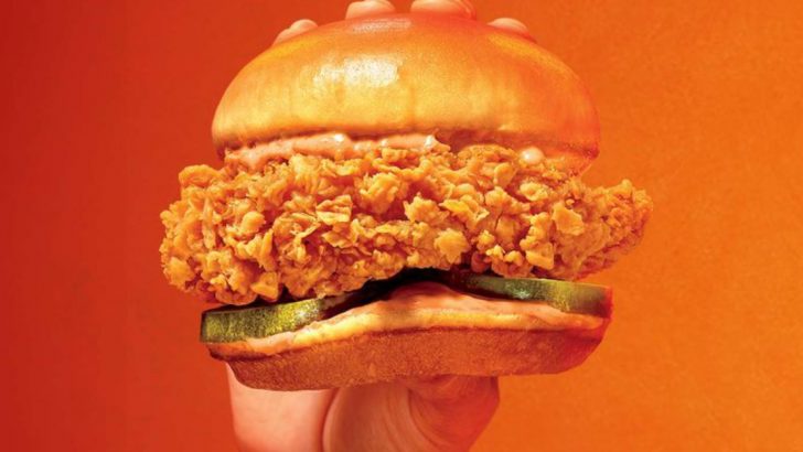 15 Top Spicy Chicken Sandwiches In Fast Food (Plus 5 That Deliver A Next-Level Experience)