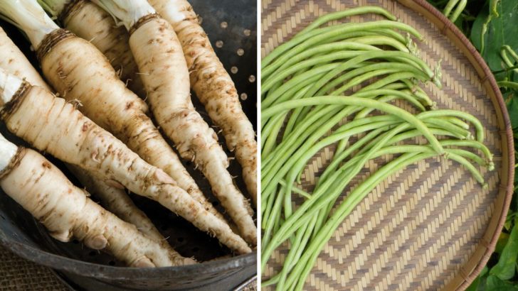 16 Forgotten Vegetables Amish Still Grow You’ll Wish You Knew Sooner