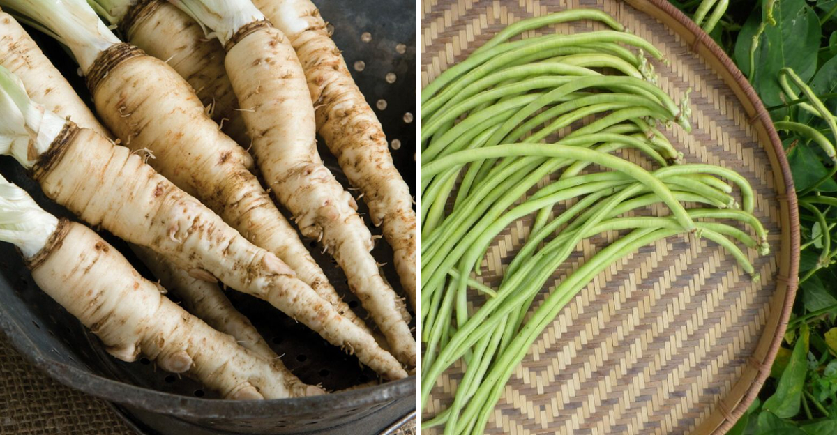 amish vegetables