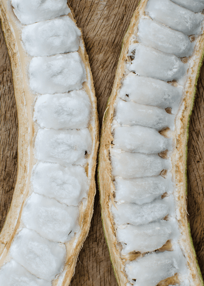 Ice Cream Bean