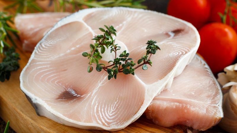 Shark Meat Steaks