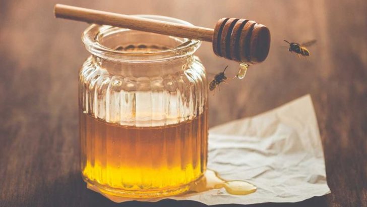 18 Foods That Could Save Your Life When Society Falls Apart