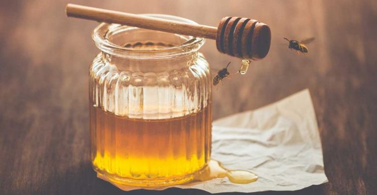 18 Foods That Could Save Your Life When Society Falls Apart