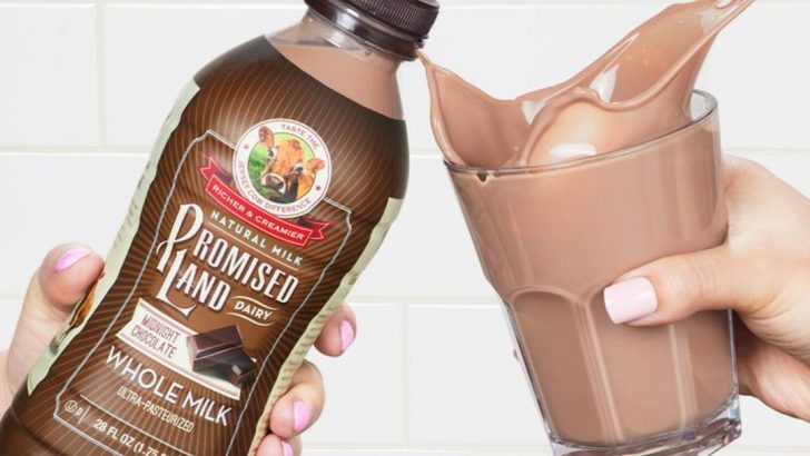 20 Best Bottled Milkshake Brands Ranked