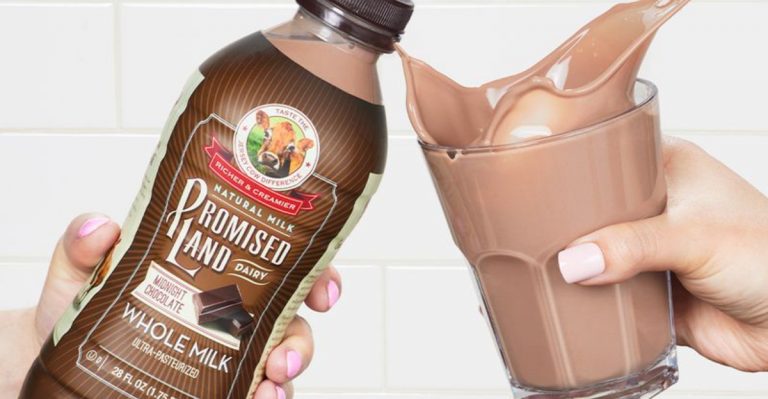 20 Best Bottled Milkshake Brands Ranked