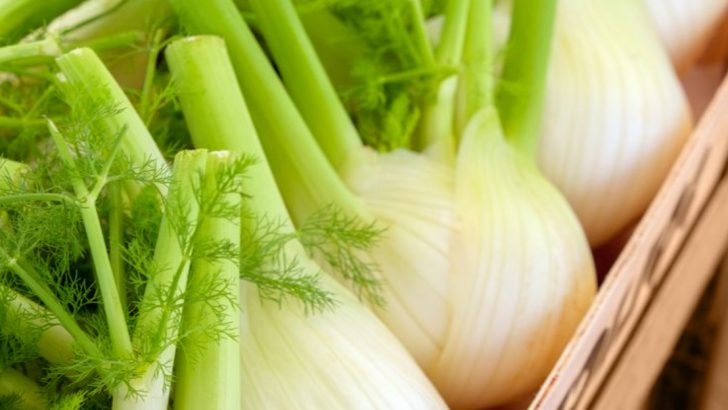20 Colorful Veggies That Rival Greens In Nutrition