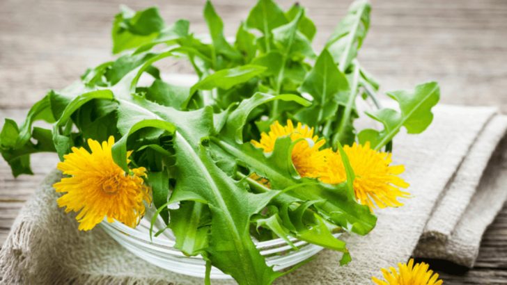 20 Leafy Greens That Make You Stronger And Healthier