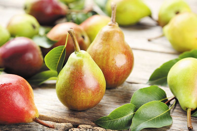Pears: Nature's Bladder-Friendly Fruit