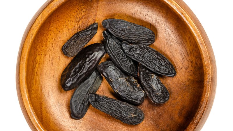 Tonka Beans: The Fragrant Outlaw