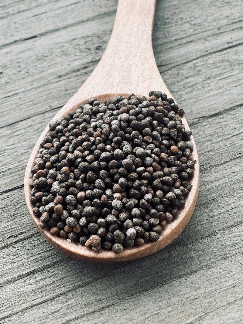 Perilla Seeds