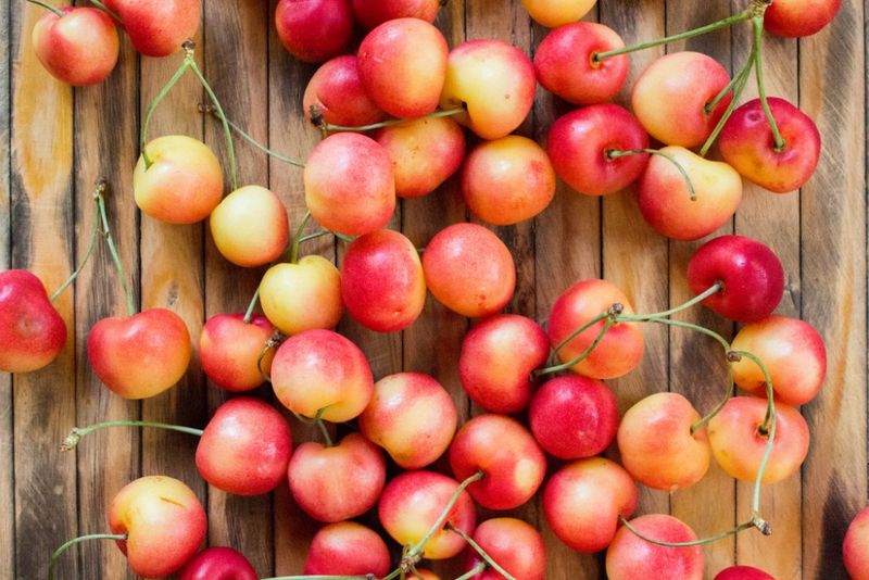 Rainier Cherries