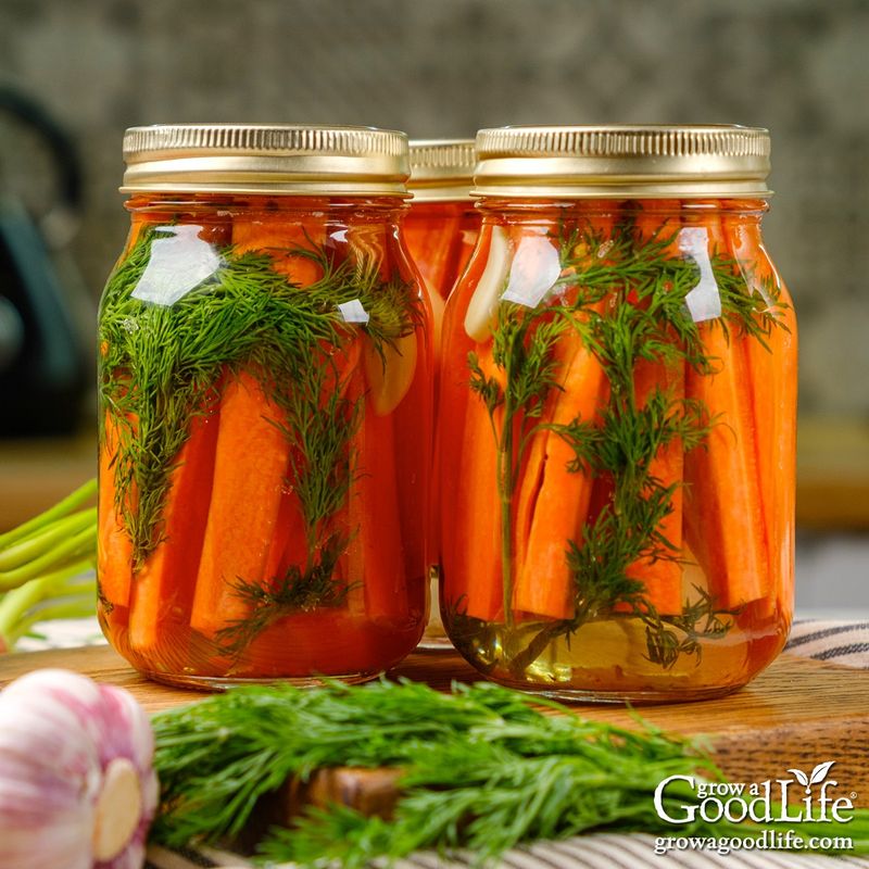Quick-Pickled Carrot Tops