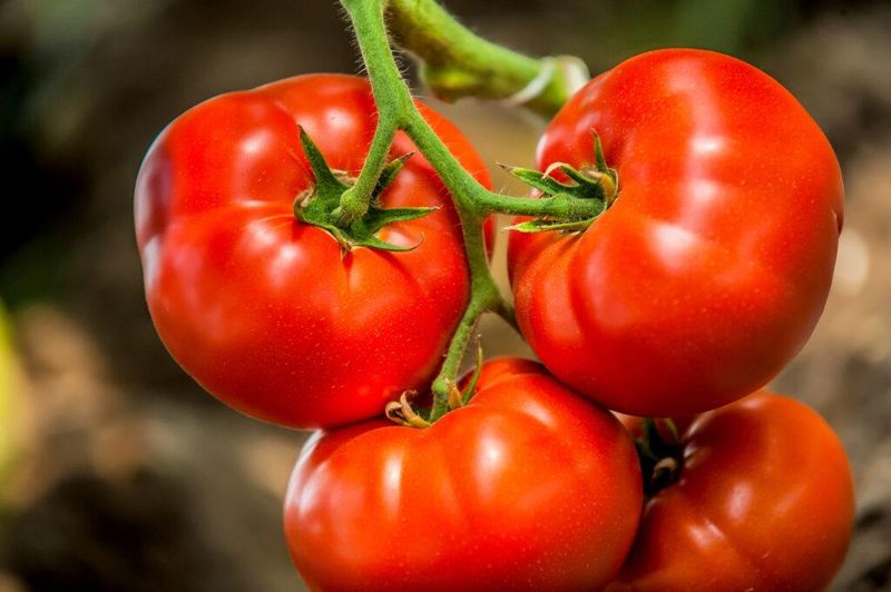Tomatoes: Surprisingly Problematic Produce