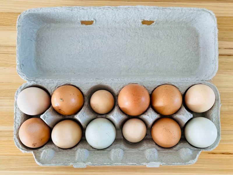 Wrong Egg Size Ruins Everything