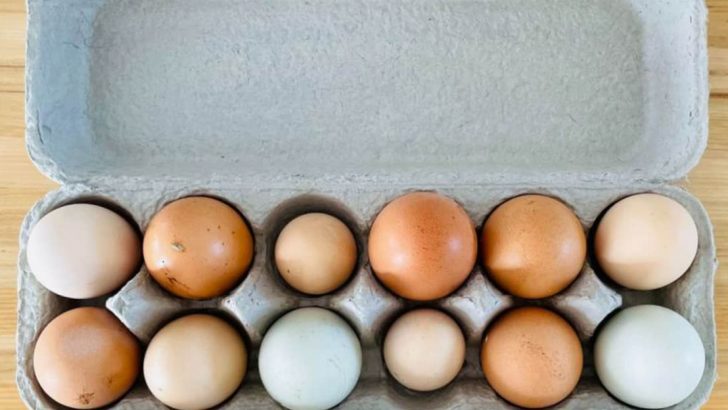 Baking Fail? Your Egg Size Might Be The Culprit (Plus 15 Other Common Measuring Mistakes)