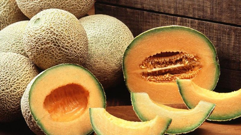 Melon