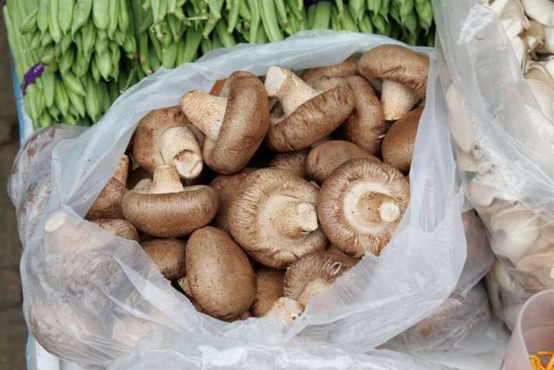 Mushrooms Turn Slimy