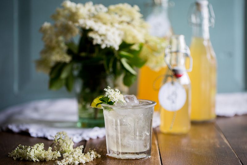 Elderflower Cordial Making (UK & Northern Europe)