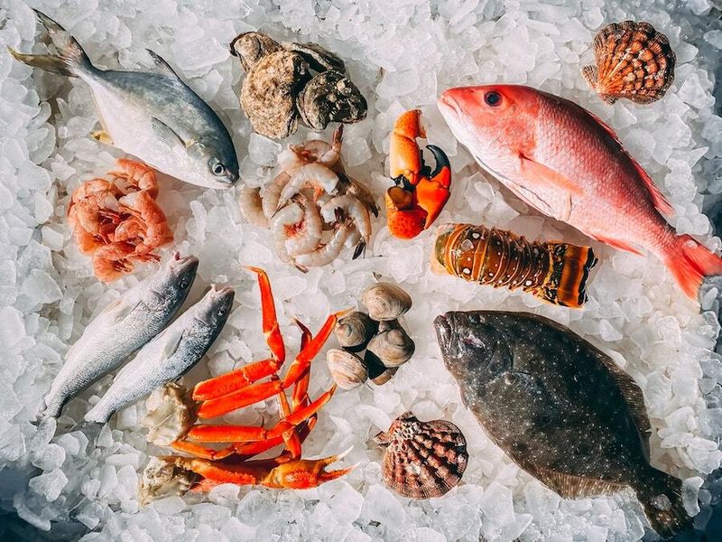 Fatty Fish: Brain-Boosting Protein