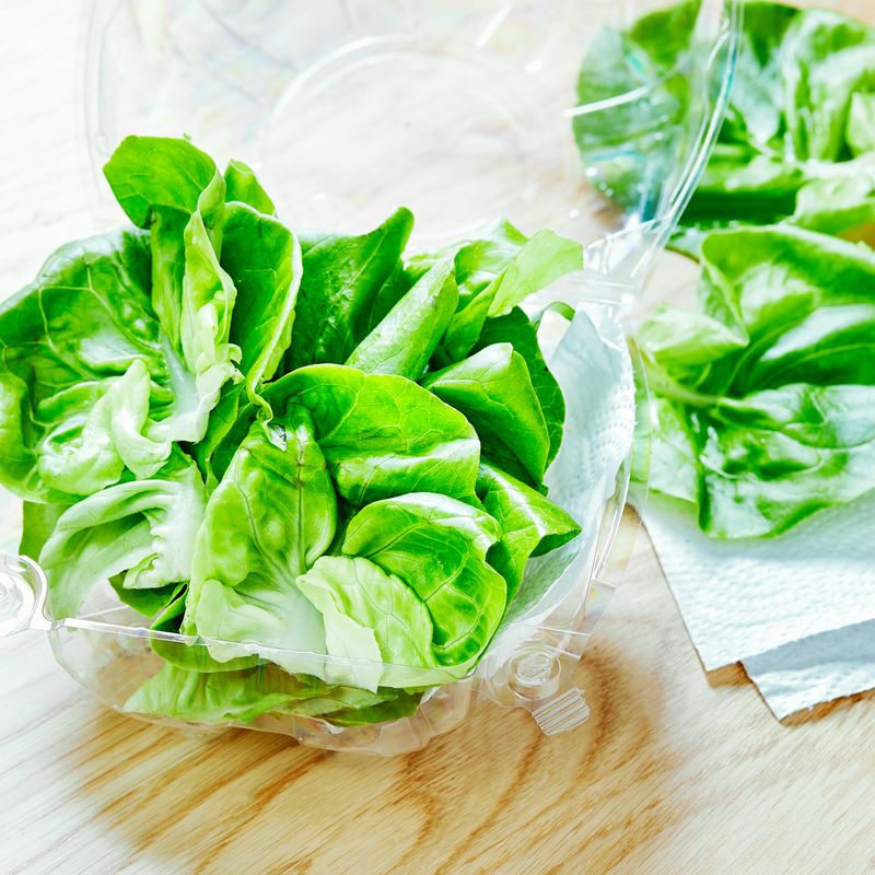 Leafy Greens Love Protection