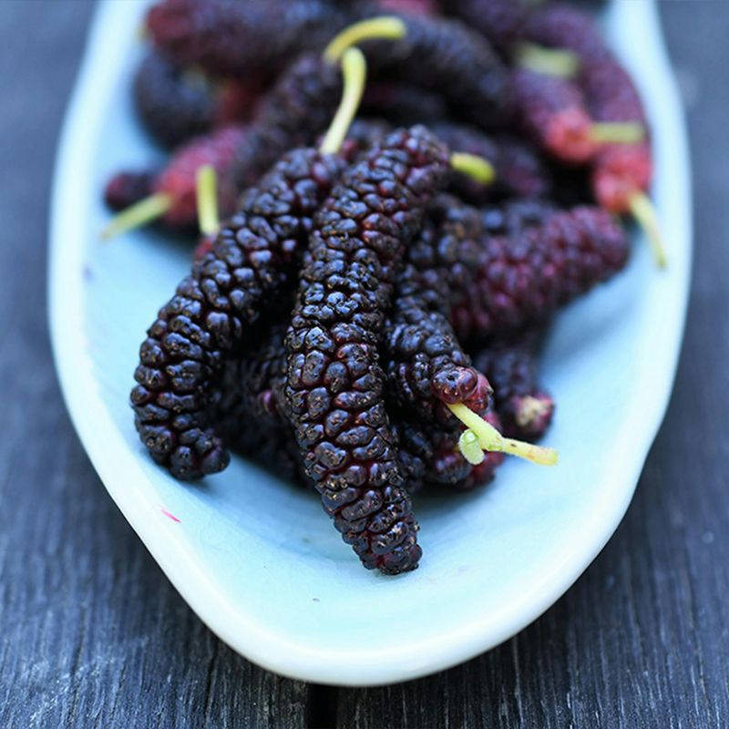Mulberries