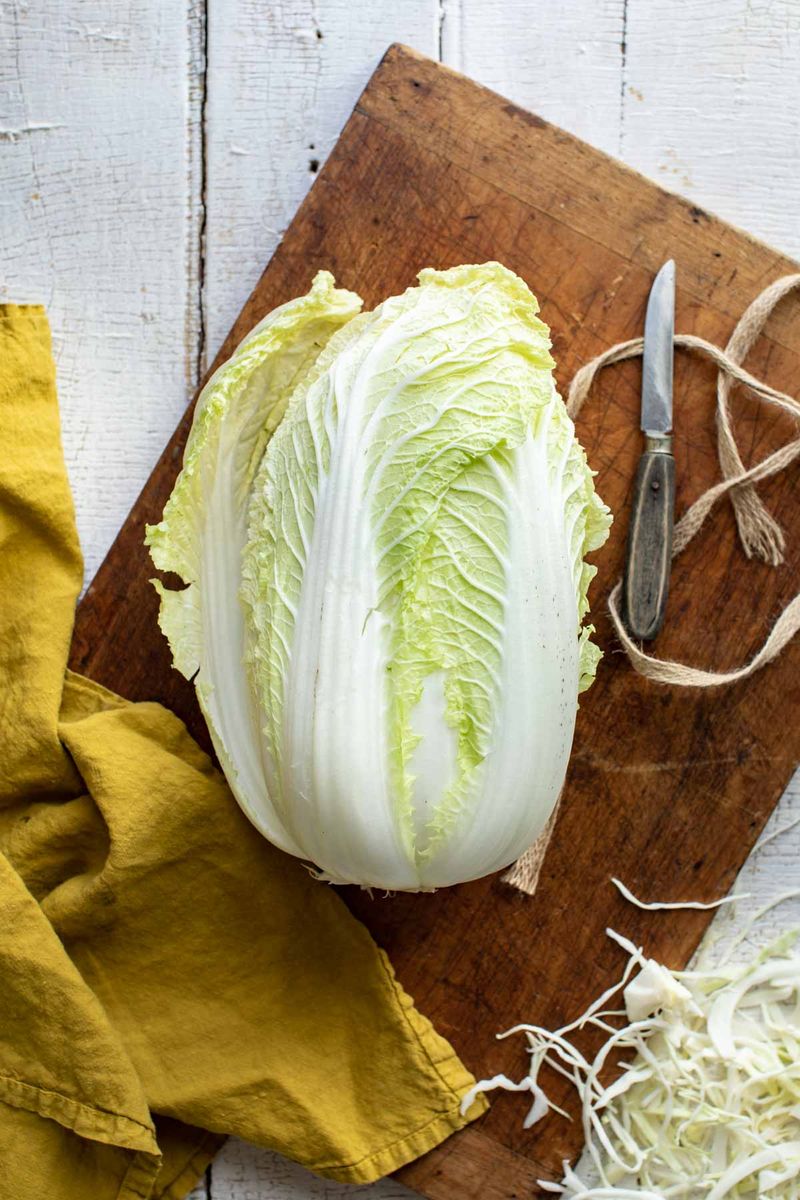 Napa Cabbage