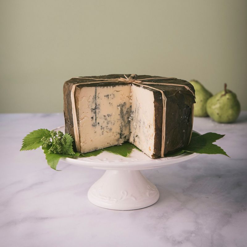 Moldy Cheese Cake