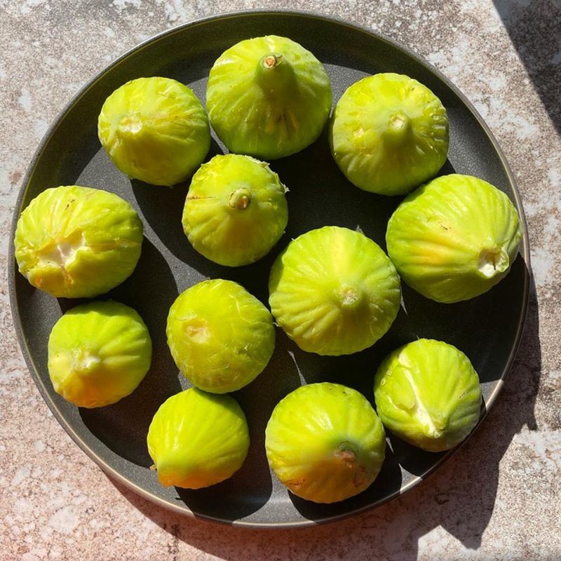 Figs