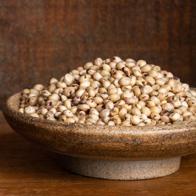 Sorghum: America's Forgotten Native Grain