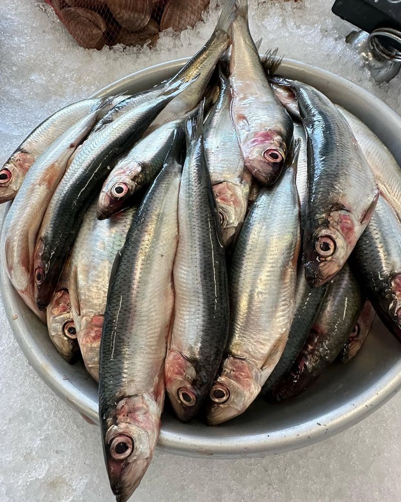 Buy: Sardines