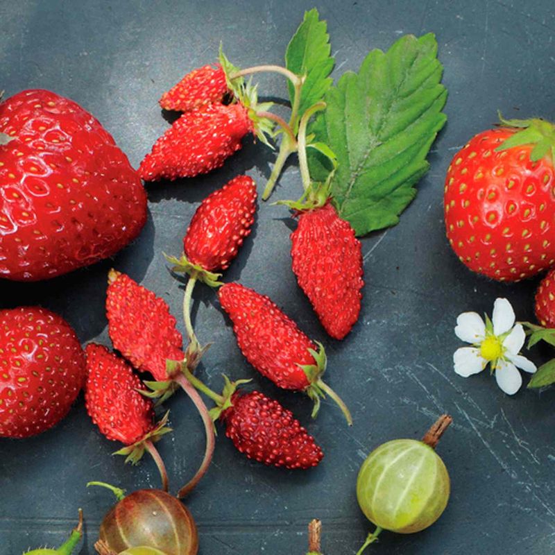 Not Considering Strawberry Variety