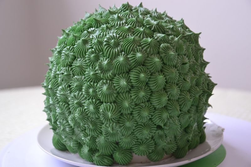 Barrel Cactus Layer Cake