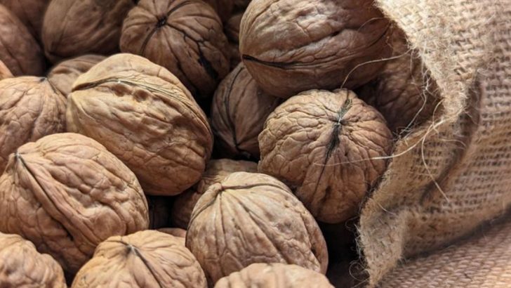 California’s 4 Official Nuts, And Why They Matter
