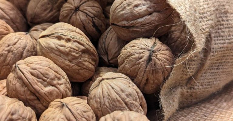 the nuts of California