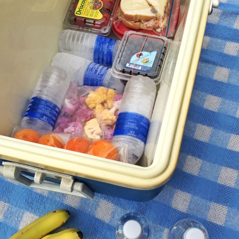 Frozen Water Bottles