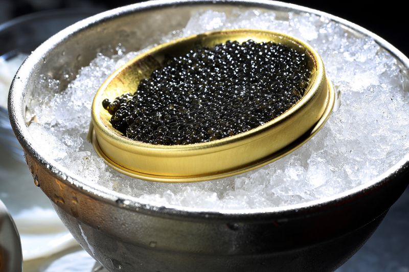 Beluga Caviar: The Endangered Delicacy