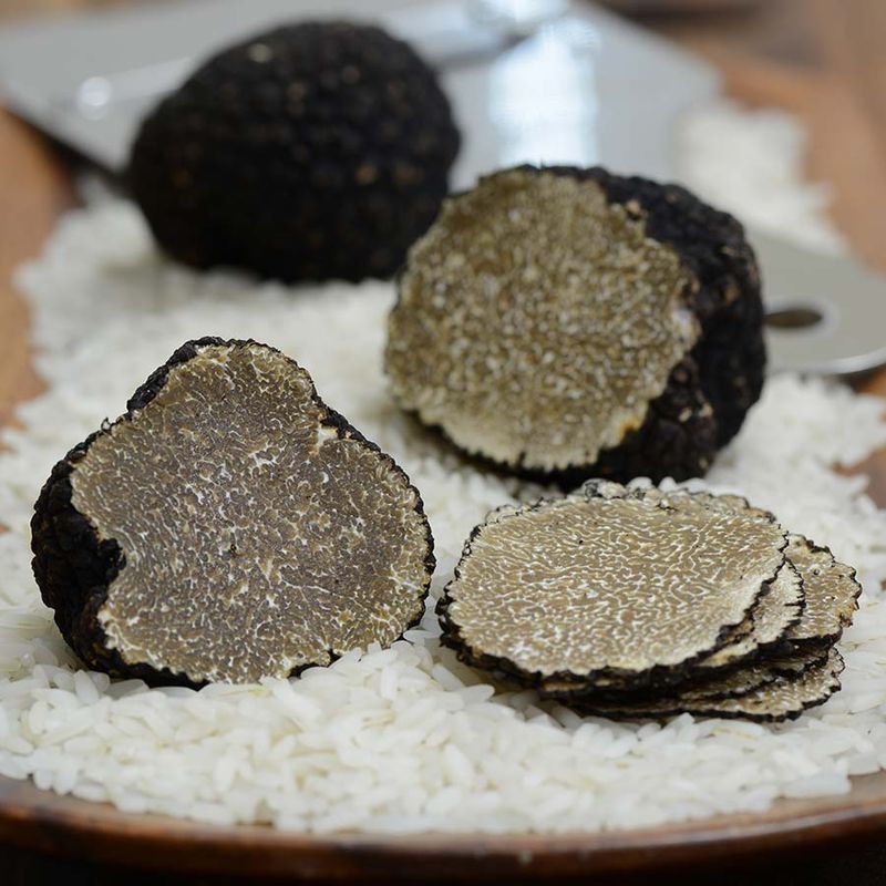 Truffle