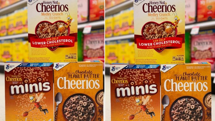 Cheerios Quietly Drops 3 Flavors, Leaving Fans ‘Sad To See Them Go’