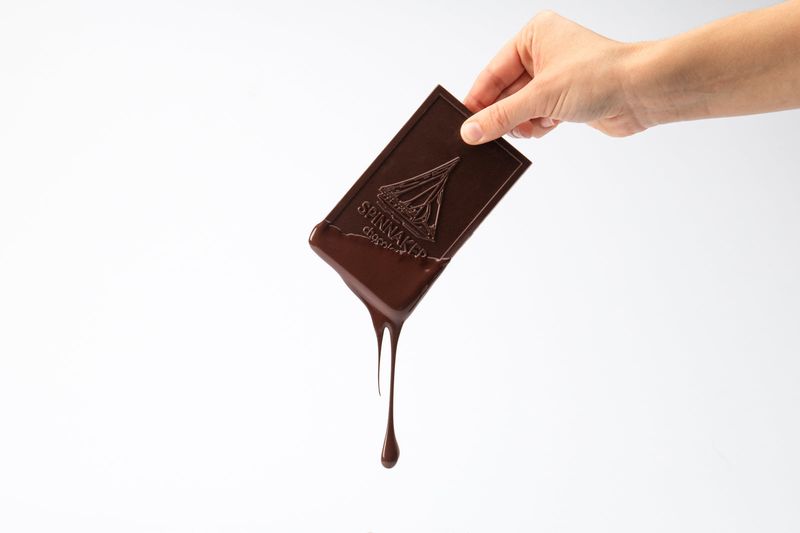 Chocolate Bars - Melty Metamorphosis